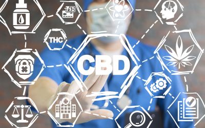 CBD DRUG INTERACTIONS