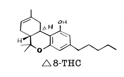 Understanding Cannabis Compounds: What is Delta-8?