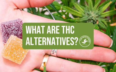 So What’s The Deal with THC Alternatives?