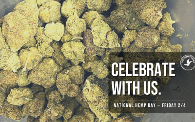 National Hemp Day Flash Sale