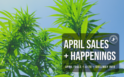 April Sales and Events at The Hemptender