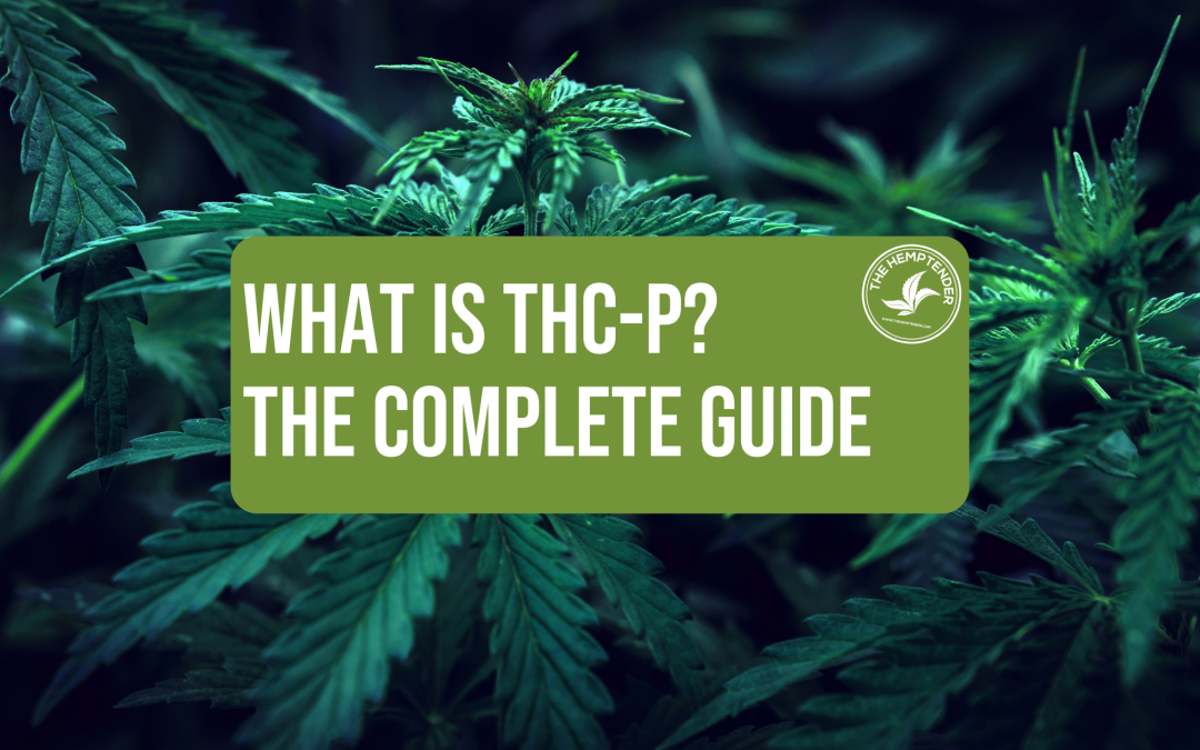 everything you need to know about thc-p by The Hemptender