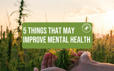 5 Things You Can Do That May Help Improve Your Mental Health
