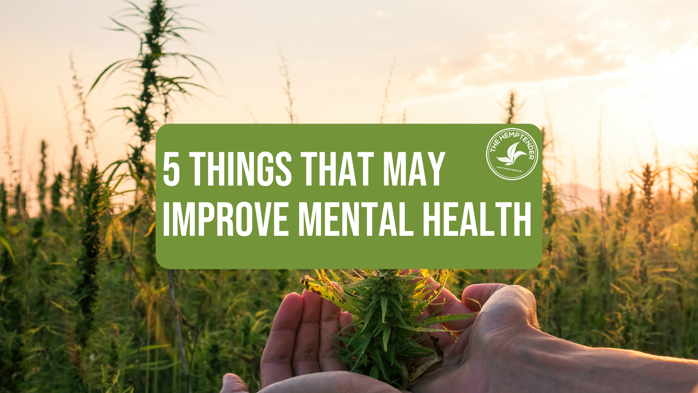 5 Things To Do That May Help Improve Your Mental Health by The Hemptender
