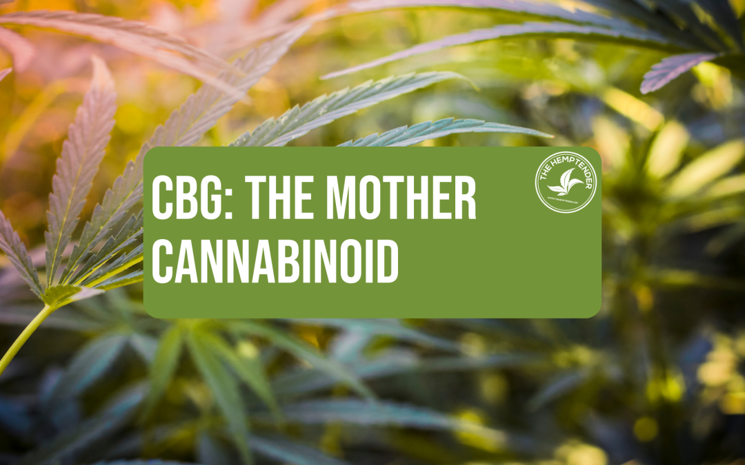 Learn more about CBG by The Hemptender