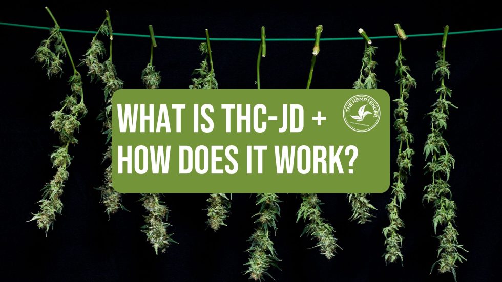 What Is THC-jd And How Does It Work? - The Hemptender