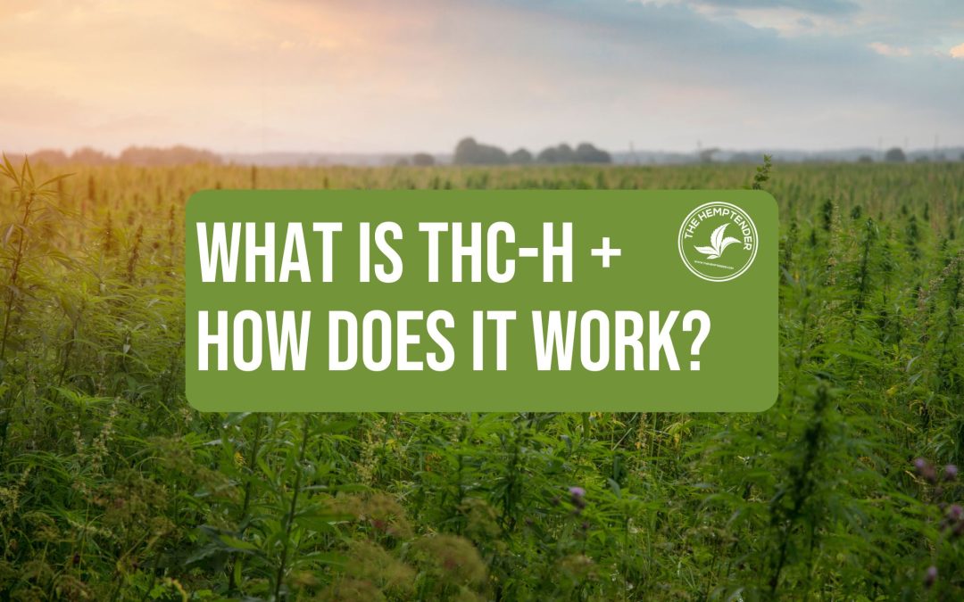 Hemp field with text that reads what is THC-H and how does it work