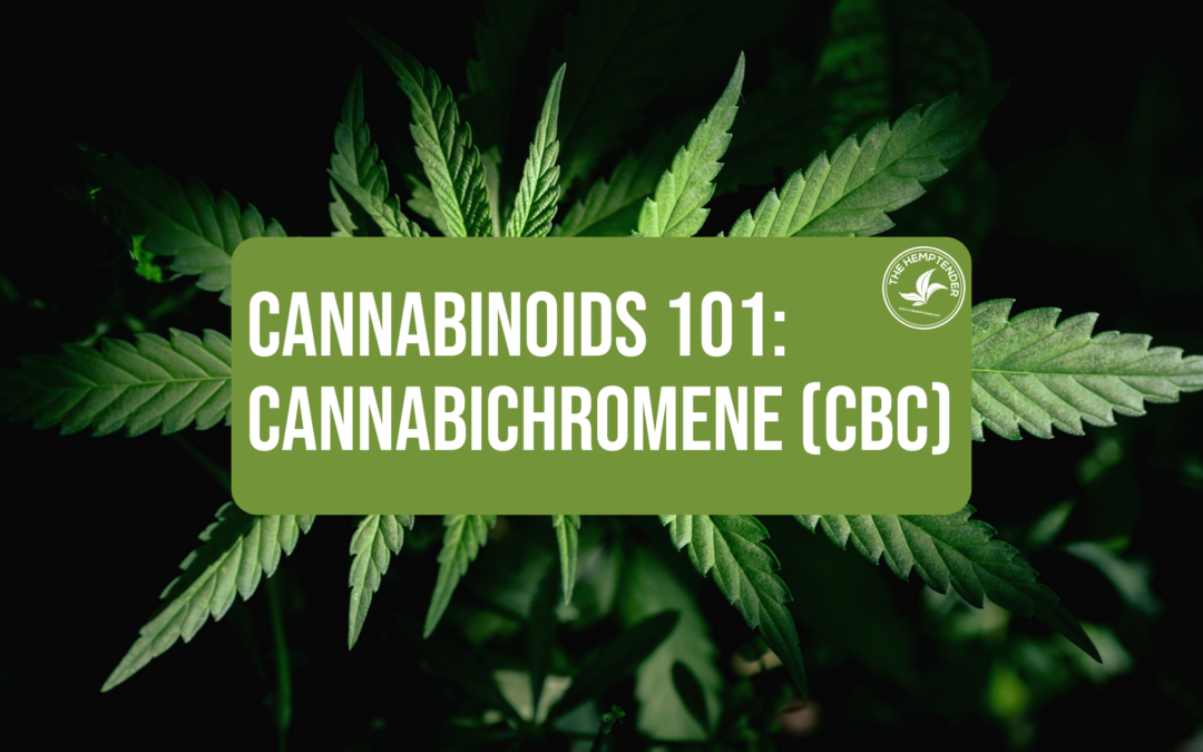 an image of hemp leaves with text reading "casnnabinoids 101: cannabichromene (CBC)