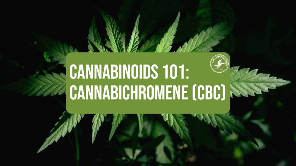 Cannabinoids 101: CBC (Cannabichromene) - The Hemptender