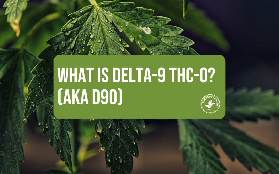 hemp leaves with water droplets and text that reads "what is delta-9 THC-O? (AKA d9o) with the hemptender logo