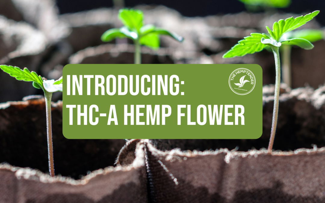 picture of little cannabis seedlings and text that reads introducing: thca hemp flower