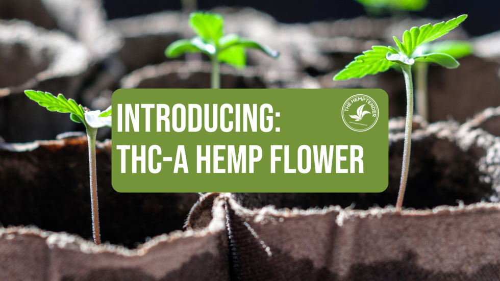 Introducing THCa Flower At The Hemptender - The Hemptender