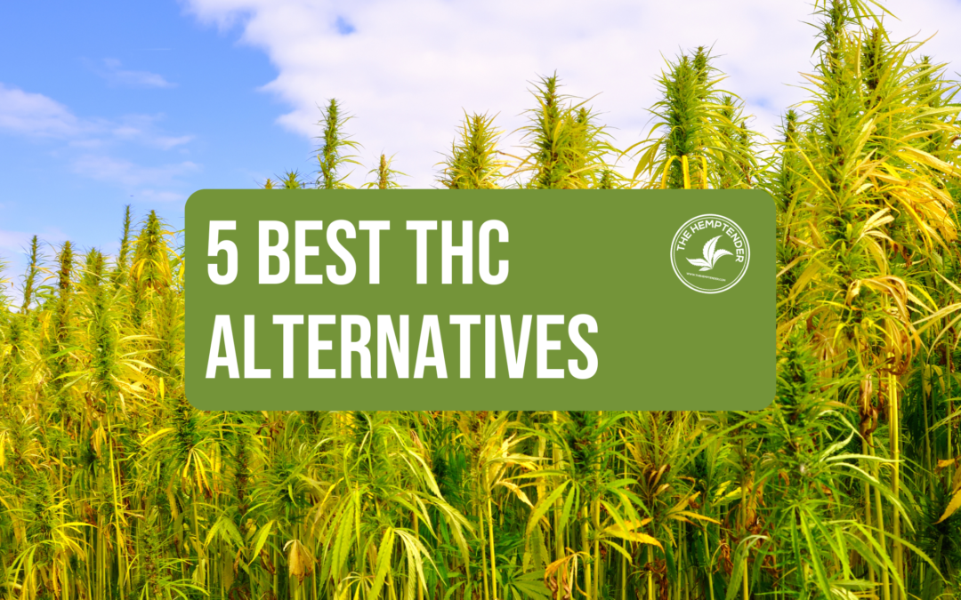 hemp field with hemptender logo and text that reads '5 best THC Alternatives'