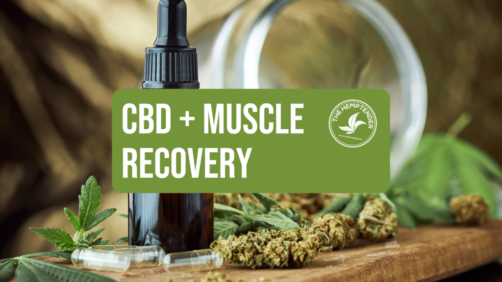 an image of cbd and hemp products with a caption that reads CBD + muscle recovery