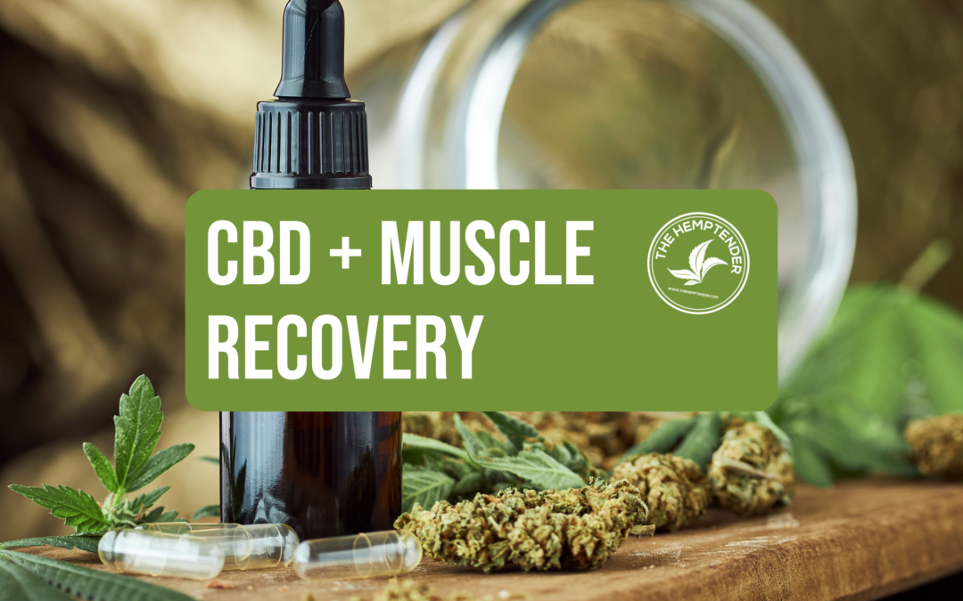 an image of cbd and hemp products with a caption that reads CBD + muscle recovery