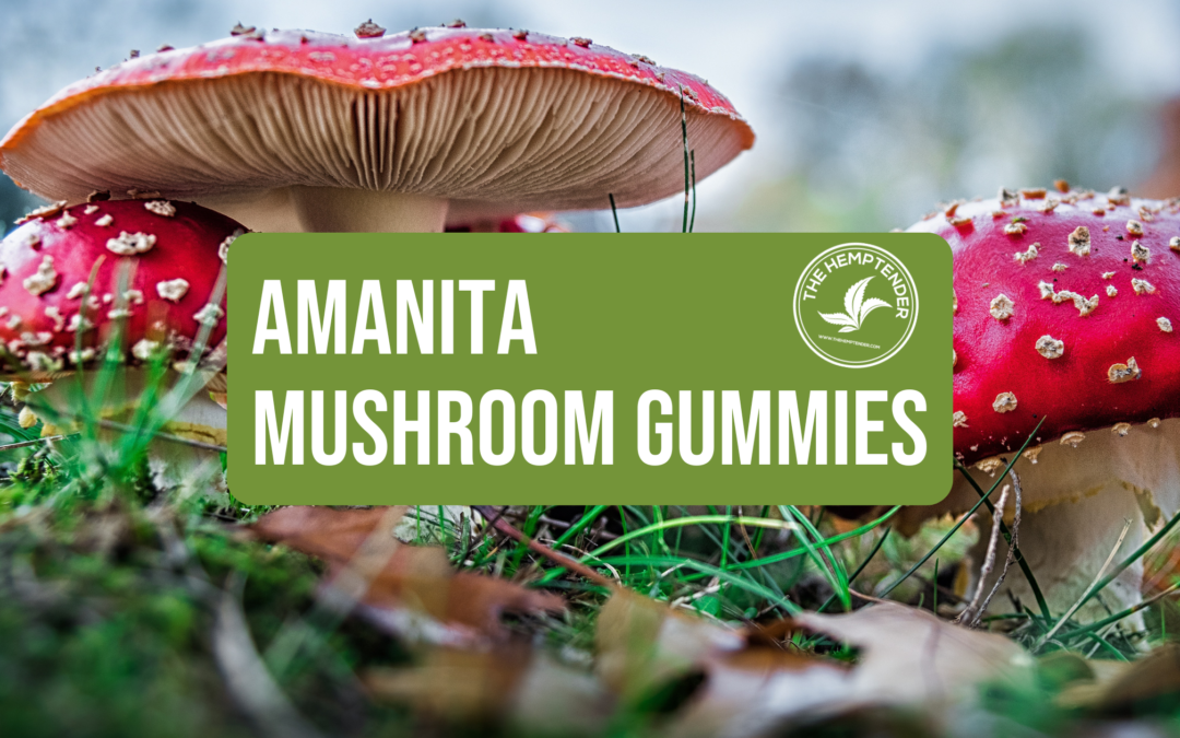 amanita mushroom gummies at the hemptender