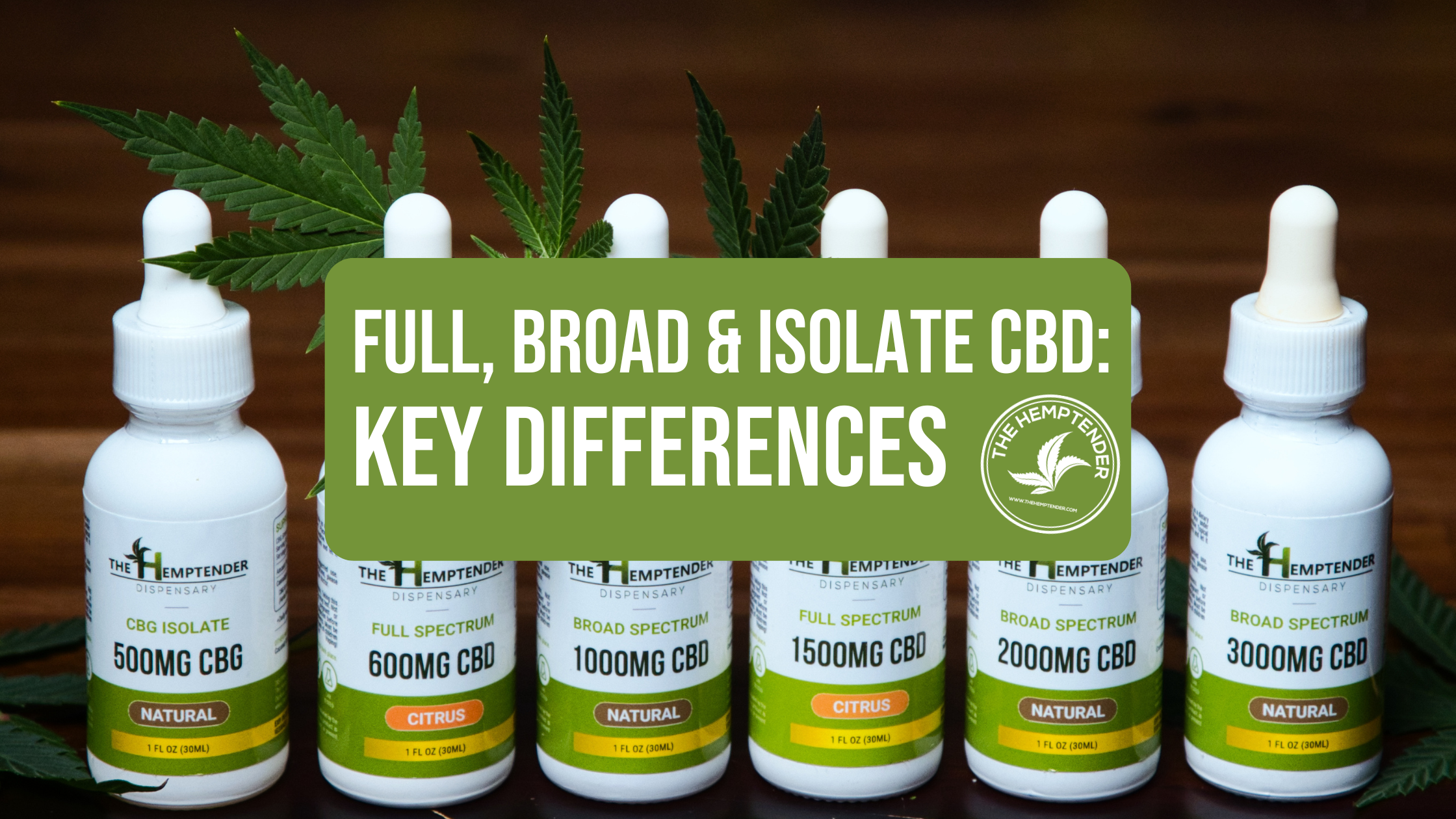 The Hemptender CBD: fll-spectrum, broad-spectrum and CBD isoalte on a wooden table with hemp leaves. Text reads "full, broad, and isolate CBD: Key differences"