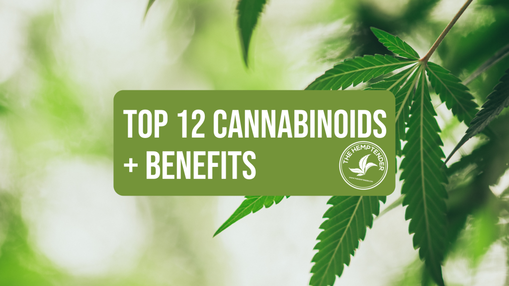A close up photo of a hemp leaf with text that reads "Top 12 Cannabinoids + Benefits"