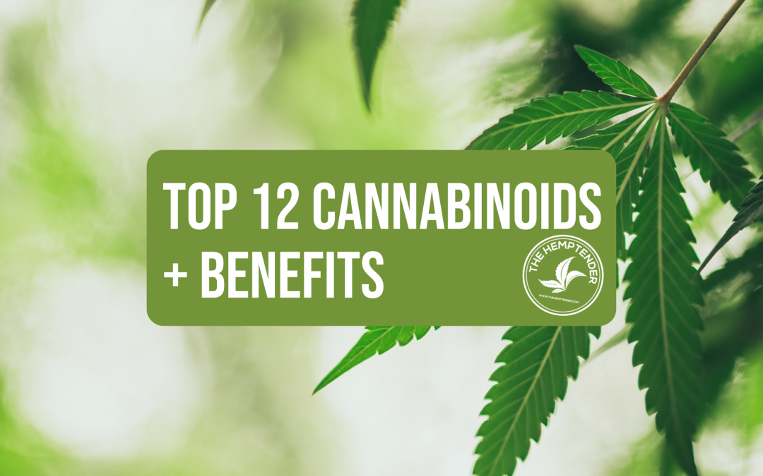 The Top 12 Cannabinoids and Their Potential Benefits