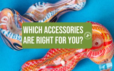 Which Smoking Accessories Are Right For You?
