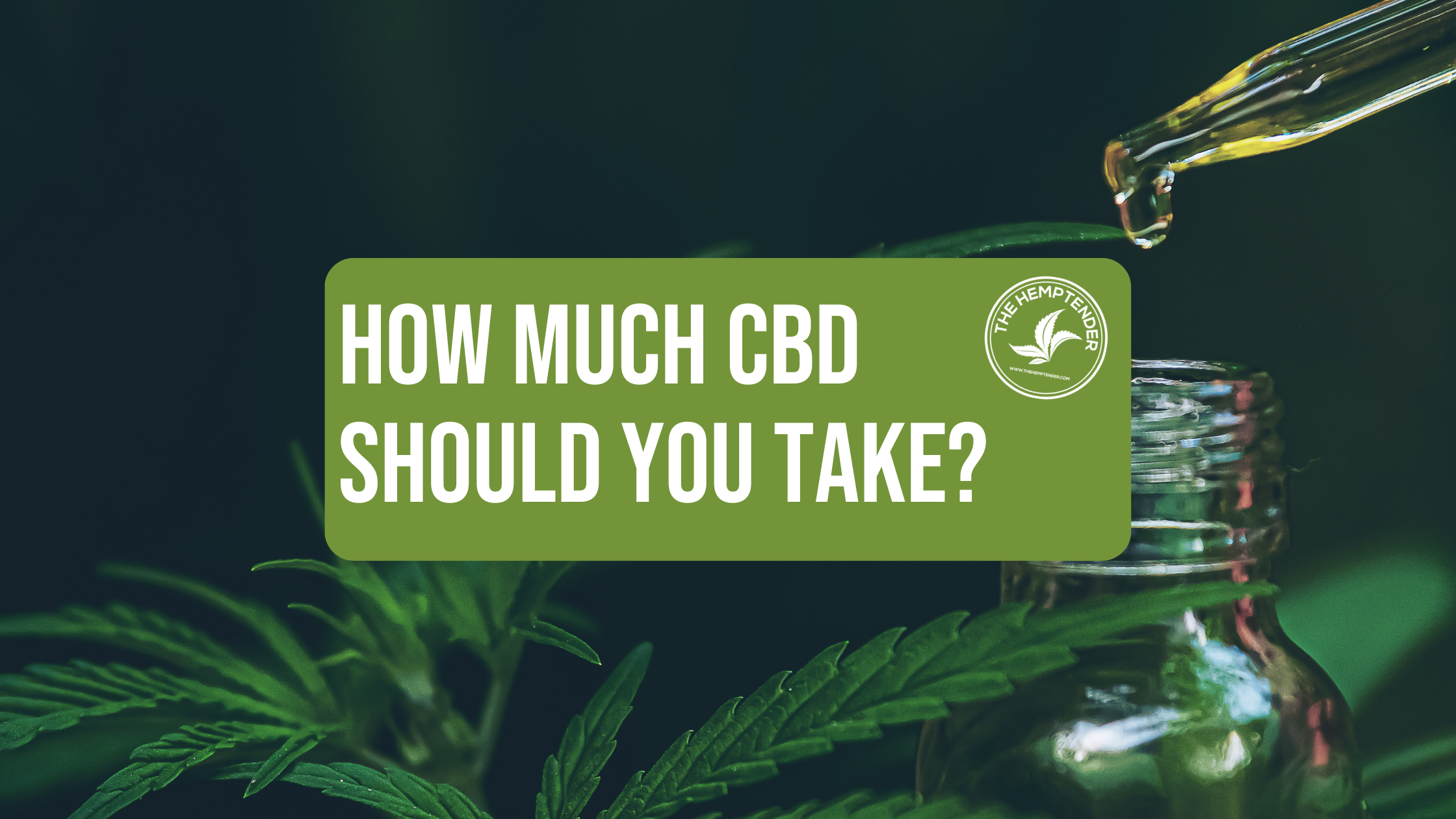 A dropper of CBD with hemp plants in the background and text that reads "how much CBD should you take?"