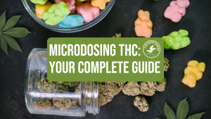 a jar of cannabis flowers and gummies on a black background with text in the foreground that reads "microdosing THC: your complete guide"