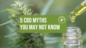 A photo of a bottle of hemp oil and a hemp flower with text that reads "5 CBD myths you may not know"