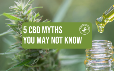 5 CBD Myths You Probably Didn’t Know