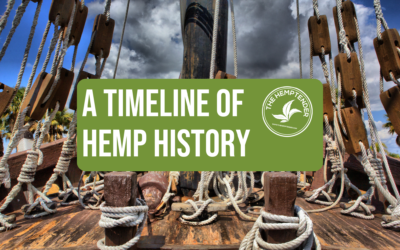 Ancient Threads: Exploring the Diverse History of Hemp