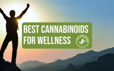 The Best Hemp -Derived Cannabinoids for Overall Wellness
