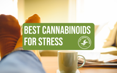 The Best Hemp-Derived Cannabinoids for Stress and Mood