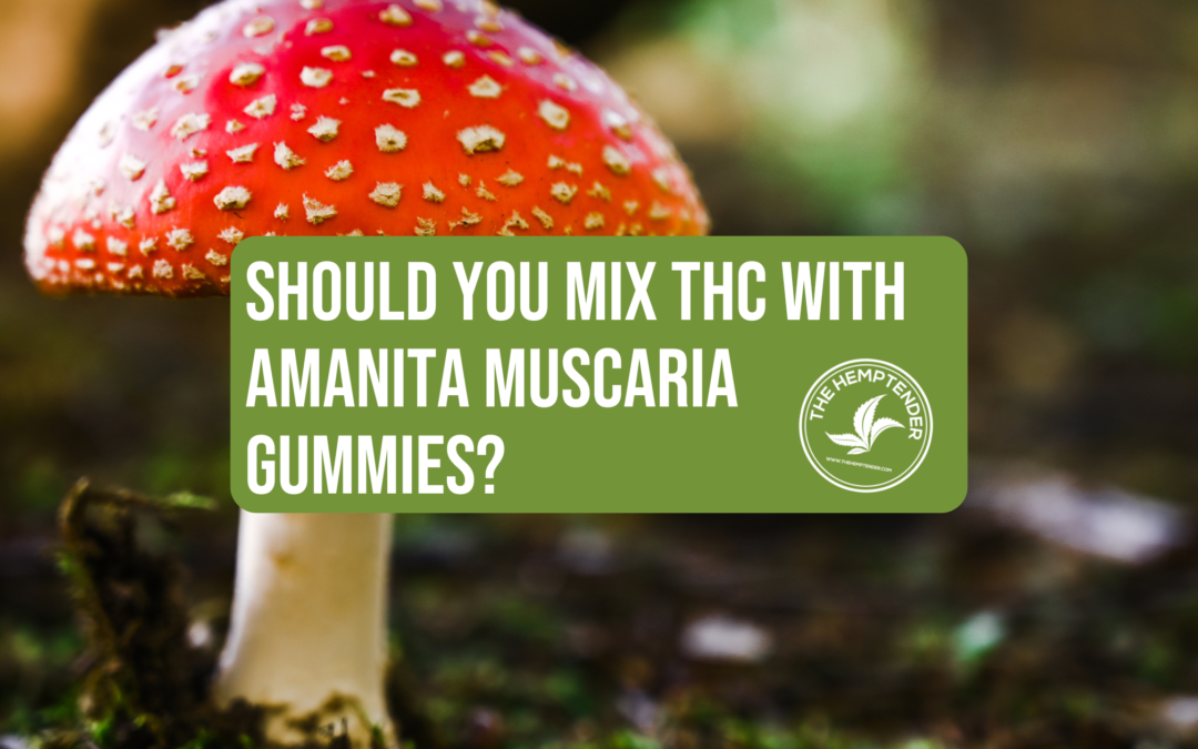 Should You Mix THC with Amanita Muscaria Gummies?