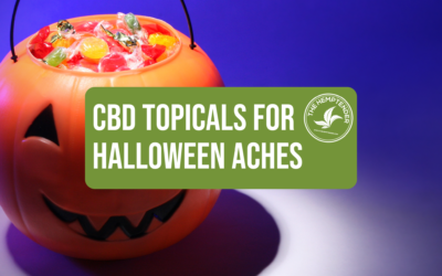 Fright Night Recovery: How CBD Topicals Soothe Your Post-Halloween Aches