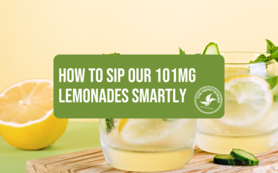 THC vs. THCP: How to Sip Our 101mg Lemonades Smartly