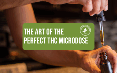 The Art of the Perfect THC Microdose